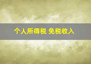 个人所得税 免税收入